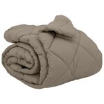 vidaXL Duvet d'hiver Gris clair 220 x 260 cm Microfibre