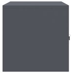 vidaXL Armoire de rangement Anthracite 80 x 40 x 40 cm Acier