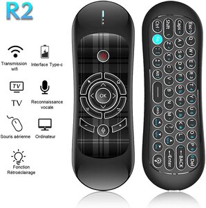 Ovegna r2 : télécommande air mouse vocale  avec rétro-éclairage  mini clavier 2.4ghz sans fil  gyroscope 6 axes  ir apprentissage universelle pour android tv box  smart tv  projecteur  pc  htpc