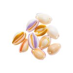 10 Perles - Coquillages multicolores - 2 perforations