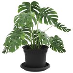 vidaXL Pots de plantes 6 Pièces Noir Ø 12 5 x 10 cm Plastique