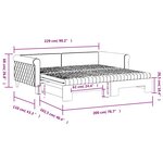 vidaXL Lit de jour et gigogne et matelas gris foncé 100x200 cm velours