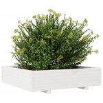 vidaXL Jardinière blanc 100x100x26 5 cm bois de pin massif