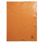 Boite de classement polypropylène recyclé maïa dos 40mm - a4 - x 8 - exacompta