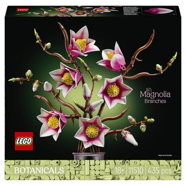 11510 Branches de magnolia ® Botanicals