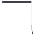 vidaXL Store roulant d'extérieur 120 x 250 cm Anthracite