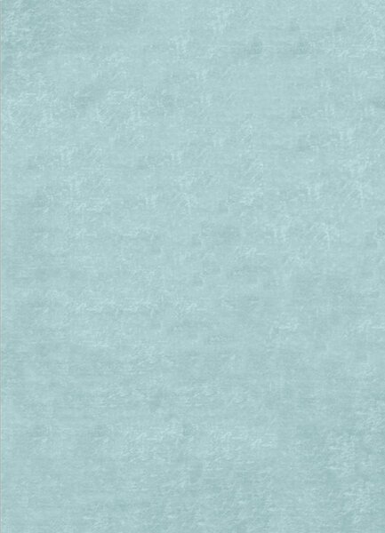 Tapis d'intérieur uni 160 x 230 cm - Bleu