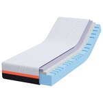 vidaXL Matelas Blanc et Gris 70 x 200 cm Mousse à Mémoire