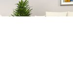 vidaXL Table basse sonoma gris 80x80x36 5 cm bois d'ingénierie