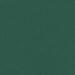 vidaXL Auvent latéral rétractable vert foncé 200x300 cm