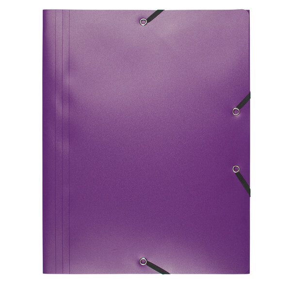 Chemise A4 3RAB+ELAST PP 24X32 MAUVE x 30 EXACOMPTA