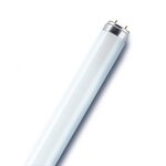 Tube fluorescent 26 mm lumilux t8 g13 58w 6500°k 1500 mm