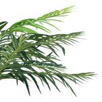 vidaXL Palmier Phoenix artificiel avec pot 215 cm Vert