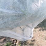 Voile d'hivernage - Blanc - Dimensions : 1 m x 10 m