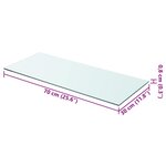 vidaXL Panneau pour étagère Verre transparent 70 x 30 cm