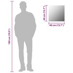 vidaXL Miroir mural carré 40 x 40 cm Verre