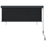 vidaXL Store roulant d'extérieur 170 x 250 cm Anthracite