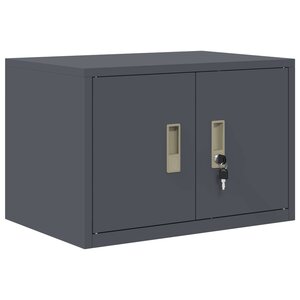 vidaXL Armoire de rangement Anthracite 60 x 40 x 40 cm Acier