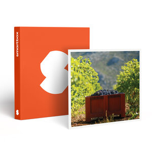 SMARTBOX - Coffret Cadeau Atelier Initiation et Dégustation Vin Biologique dans un domaine viticole -  Gastronomie