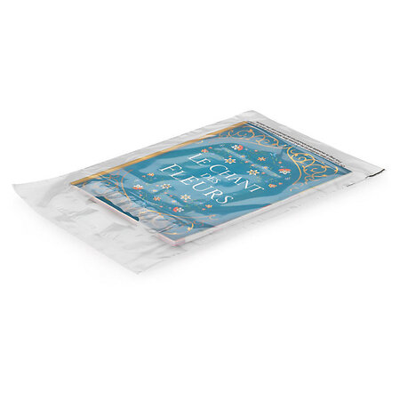 Sac plastique transparent à poignées découpées sans soufflet raja 25x38 cm
