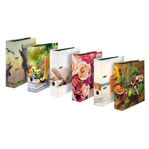 Classeur À Levier Avec Motif Imprimé Dos 80mm - Visuels Assortis - X 6 - Falken