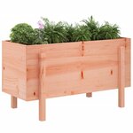 vidaXL Lit surélevé de jardin 101x50x57 cm bois Douglas massif