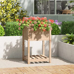 vidaXL Jardinière avec étagère 54x54x81 cm Bois massif de pin