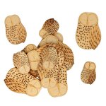 Set 30 Silhouettes Chouettes - Bois