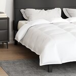 vidaXL Couettes et duvets Blanc 240 x 200 cm Bas