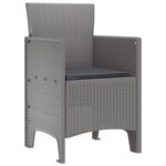 vidaXL Chaises de jardin avec coussins 2 Pièces Gris clair Poly Rattan