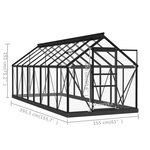 vidaXL Serre en verre Anthracite 155x395 5x191 cm Aluminium