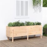 vidaXL Lit surélevé de jardin 160x50x57 cm bois de pin massif