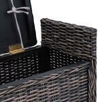 vidaXL Banc de rangement Noir Blanchi 110 x 40 x 50 cm Rotin
