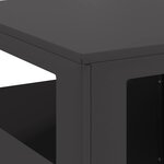 vidaXL Braise Noir 35 x 35 x 100 cm Acier