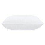vidaXL Garnitures de coussin 2 Pièces 60x40 cm Blanc