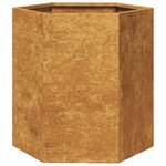 vidaXL Jardinières 2 Pièces hexagone 46x40x45 cm acier patinable