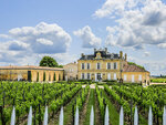 SMARTBOX - Coffret Cadeau - Visite de Saint-Émilion et dégustation de vin depuis Bordeaux