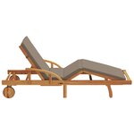 vidaXL Transat avec coussin Taupe 200 x 67 x 84cm Bois d'acacia massif