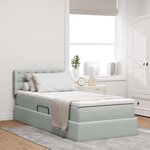 vidaXL Lit avec rangement et LED Gris clair 90 x 200 cm Velours