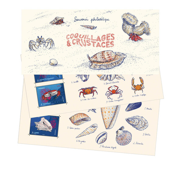 Souvenir - Coquillages et crustacés