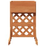 vidaXL Trellis de jardin vertical Orange 48 x 30 x 70 5 cm