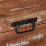 vidaXL Coffres de rangement avec stockage 60 x 30 x 30 cm