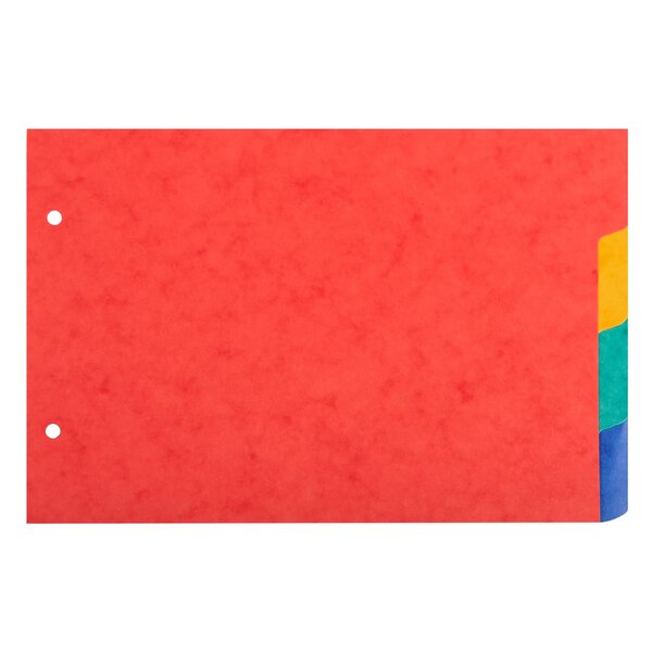 Intercalaires Pour Fiches Bristol Carte Lustrée 225g/m2 4 Positions - A5 148x210mm - Couleurs Assorties - Exacompta