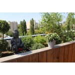 SOLEILLA ROND 50 STONE