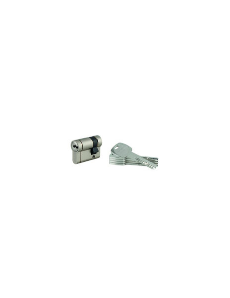 THIRARD - Demi cylindre de serrure Transit 1 UNIKEY (achetez-en plusieurs  ouvrez avec la même clé)  40x10mm  5 clés  nickelé