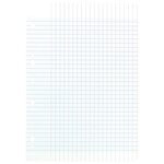 Feuillets mobiles 21x29 7 cm 100 pages grands carreaux bleus 80g x 10 CONQUÉRANT