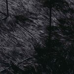 vidaXL Tapis shaggy à poils longs NAVARRA noir 100x100 cm polyester