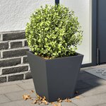 vidaXL Jardinières 2 Pièces anthracite 30x30x30 cm acier