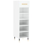 vidaXL Armoire à chaussure Blanc brillant 30x35x105 cm Bois ingénierie