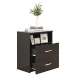 vidaXL Tables de chevet 2 Pièces Noir 50x32x60 cm